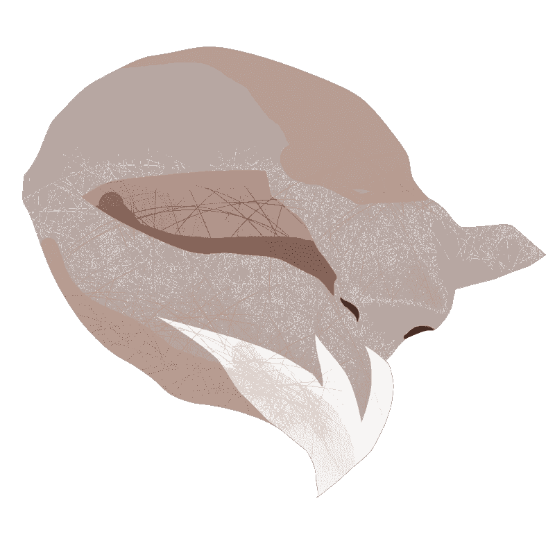 The idea is born, the first team and the strategy assembled